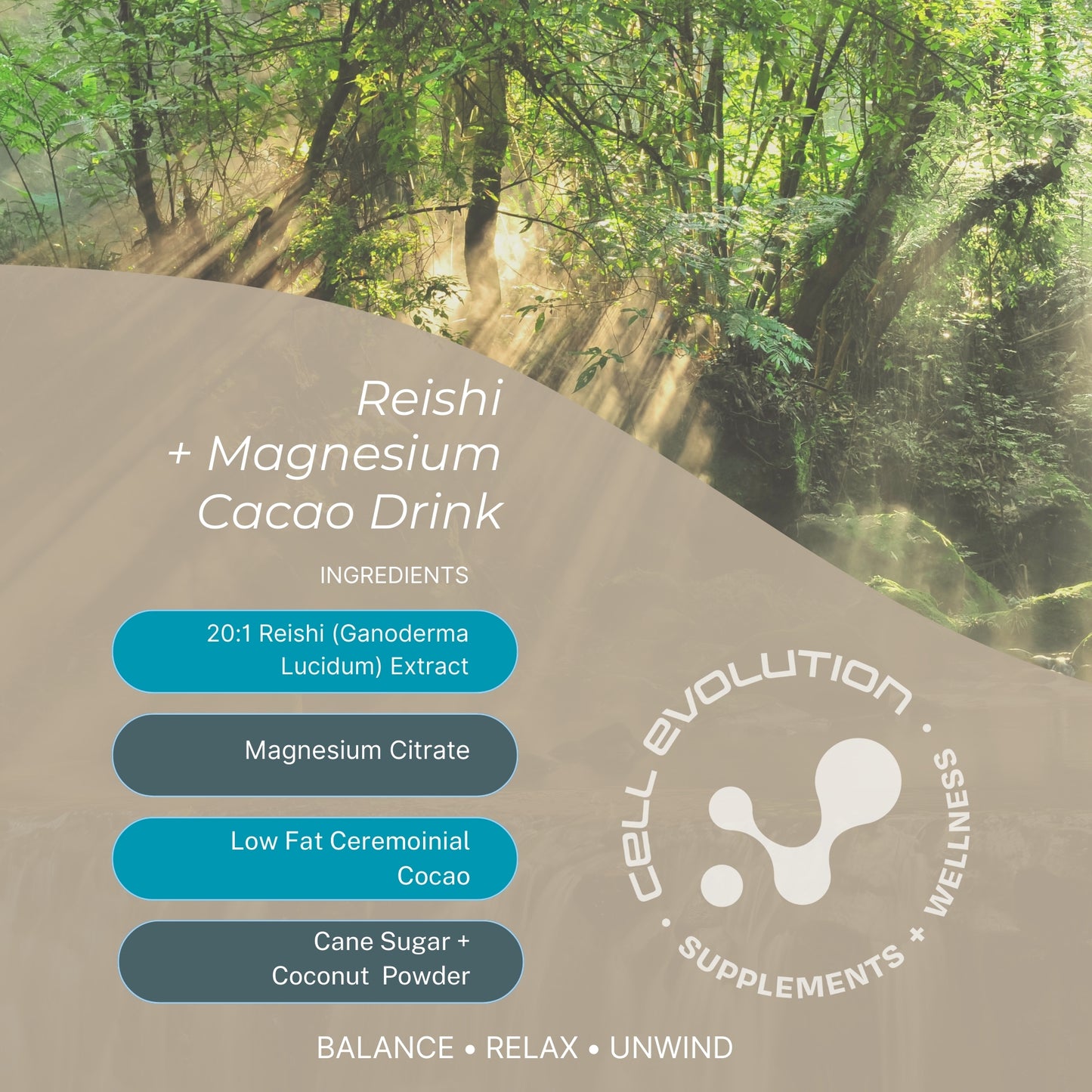 Ceremonial Cacao Sleep Drink with Magnesium & Reishi - Cell Evolution HQ