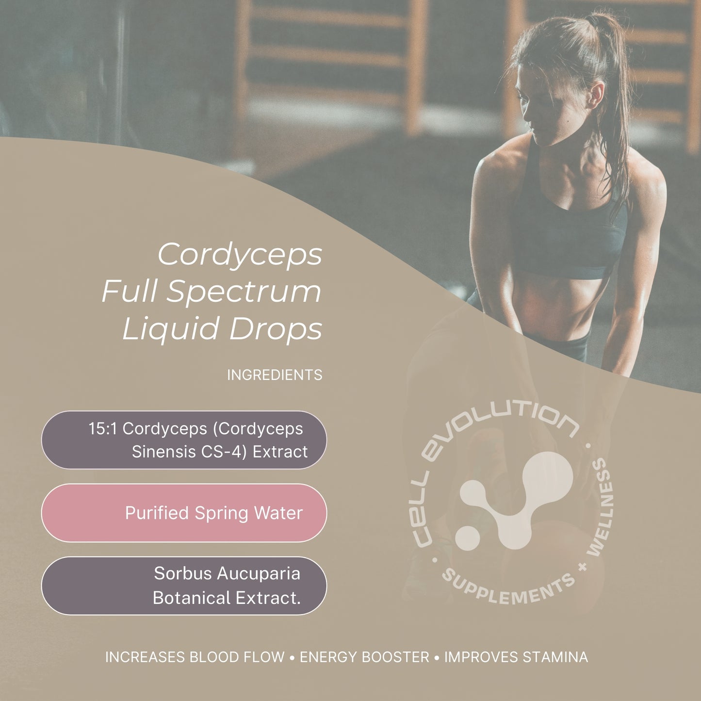 Boost - Cordyceps - Energy - Cell Evolution HQ