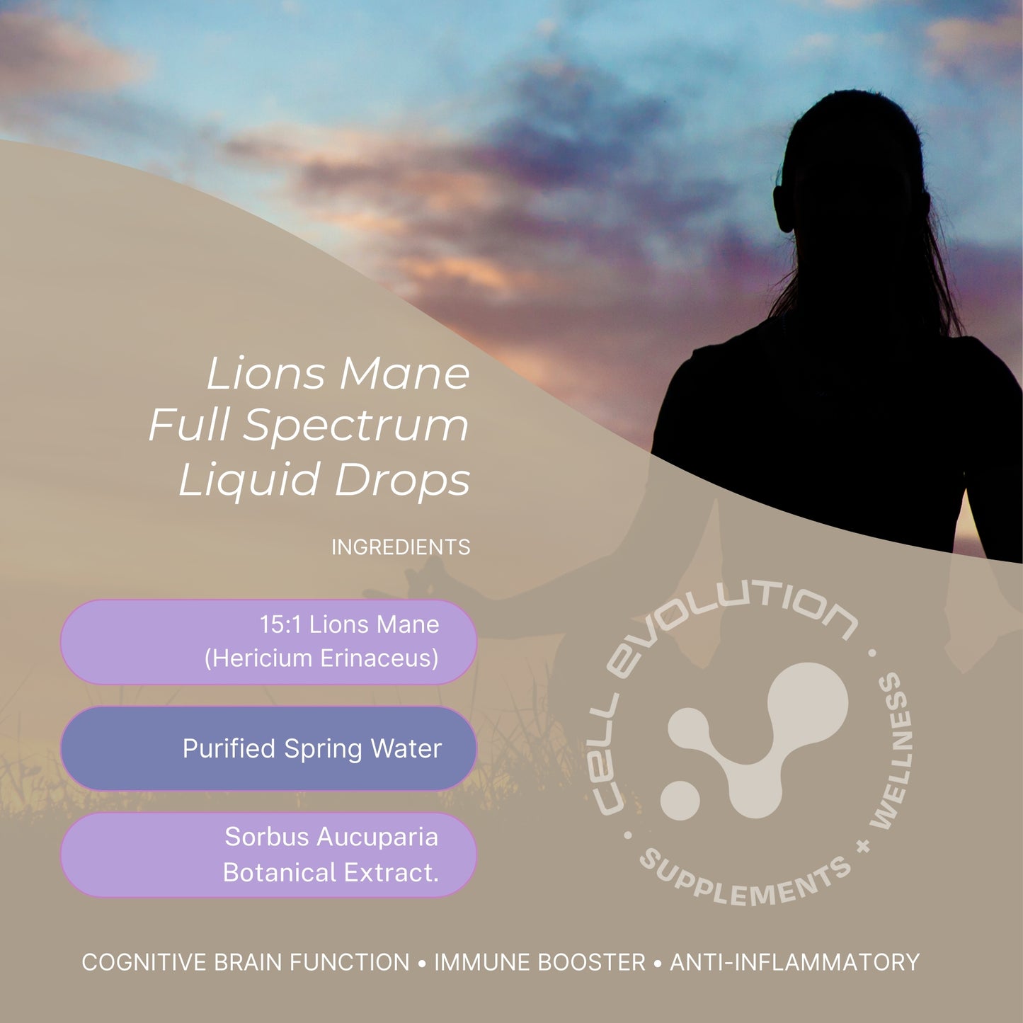 
                  
                    Focus - Lions Mane - Brain Function - Cell Evolution HQ
                  
                