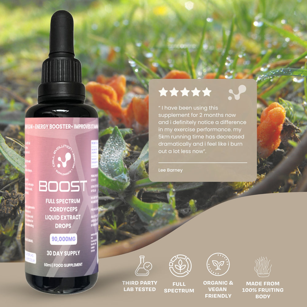 
                  
                    Boost - Cordyceps - Energy - Cell Evolution HQ
                  
                