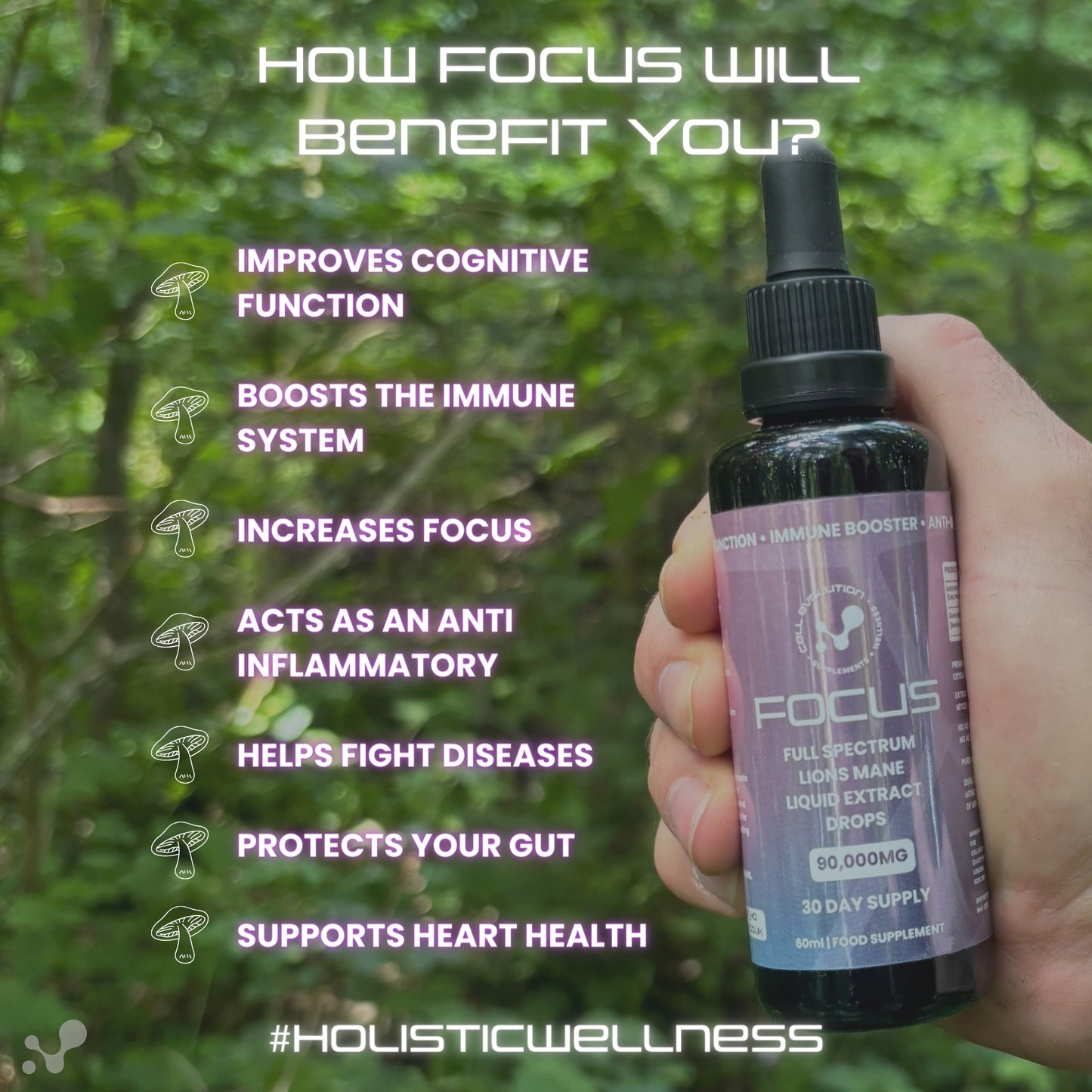 
                  
                    Focus - Lions Mane - Brain Function
                  
                