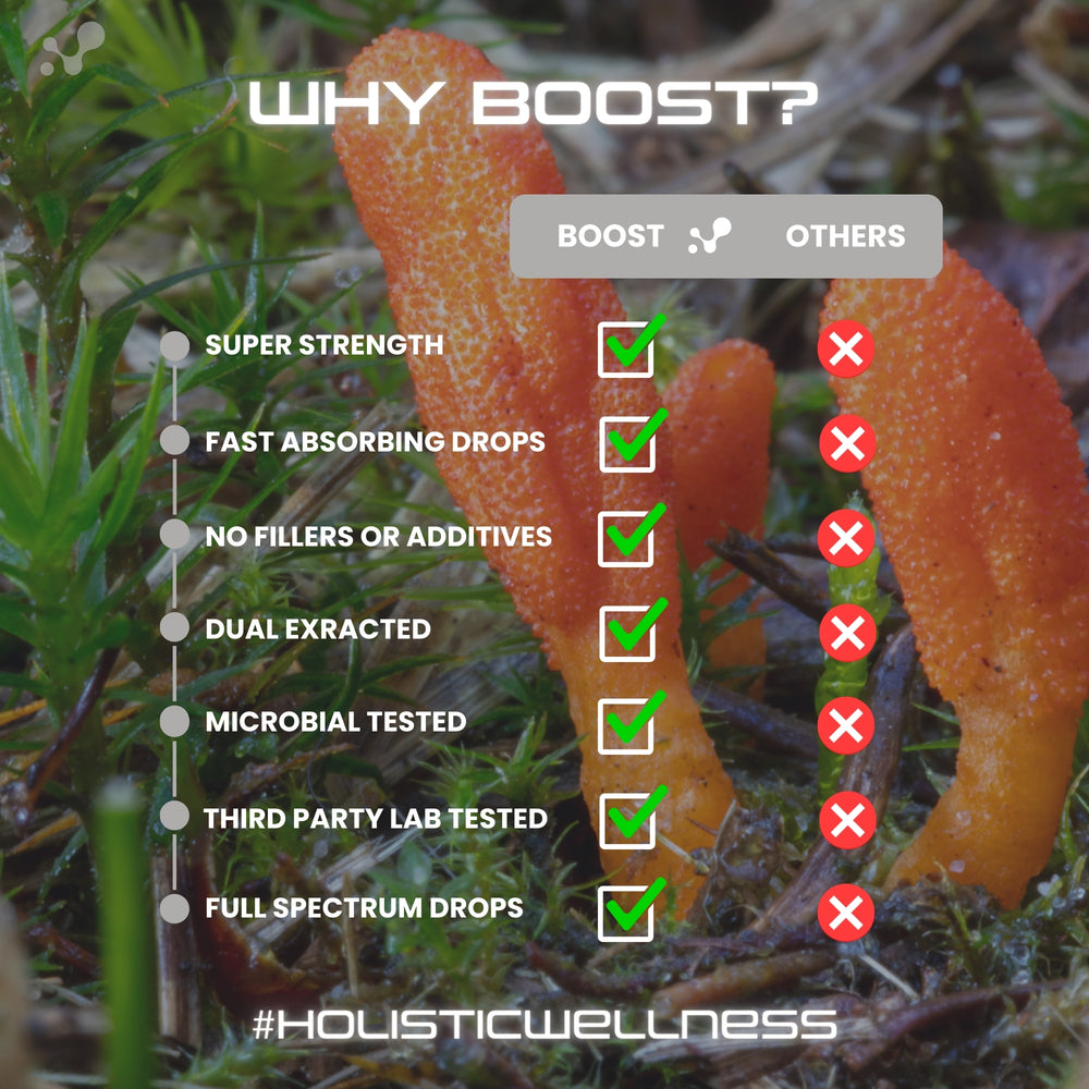 
                  
                    Boost - Cordyceps - Energy
                  
                