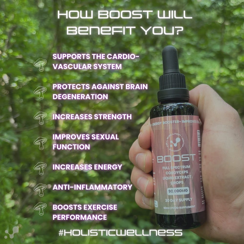 
                  
                    Boost - Cordyceps - Energy
                  
                