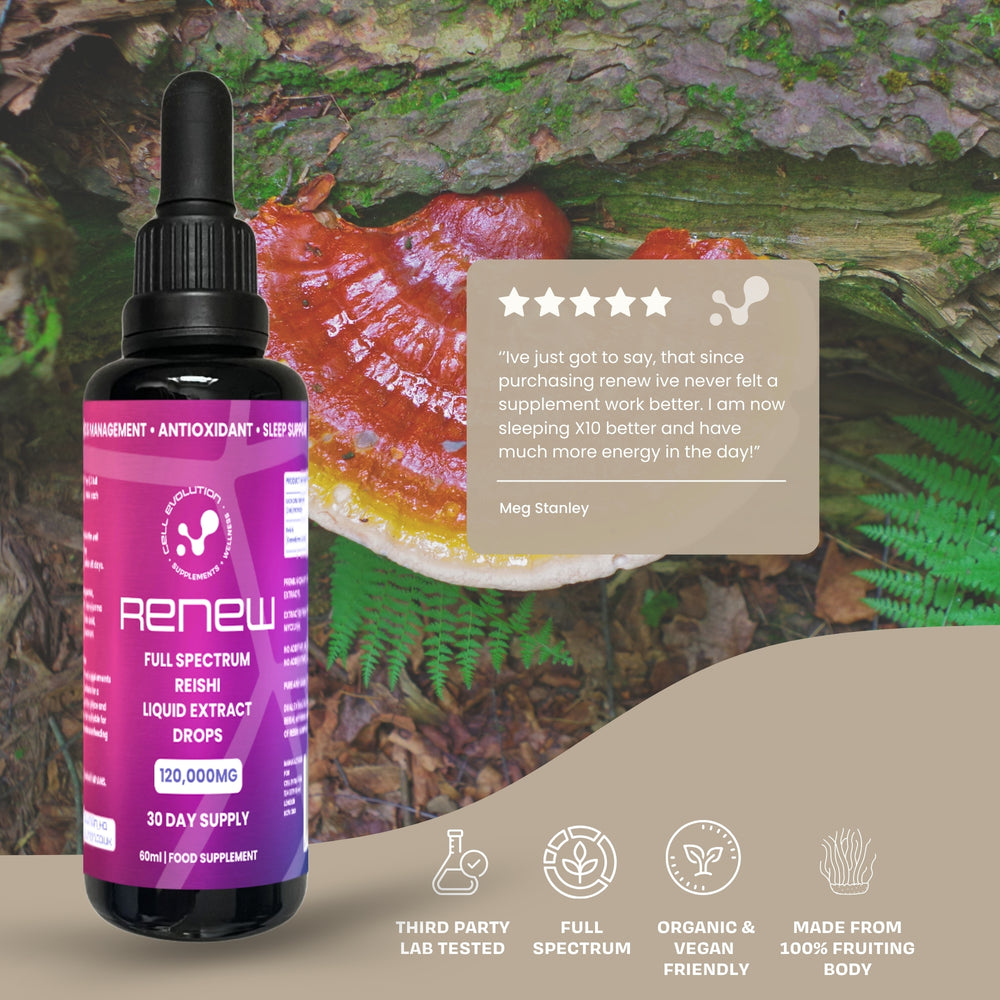 
                  
                    Renew - Reishi - Sleep - Cell Evolution HQ
                  
                