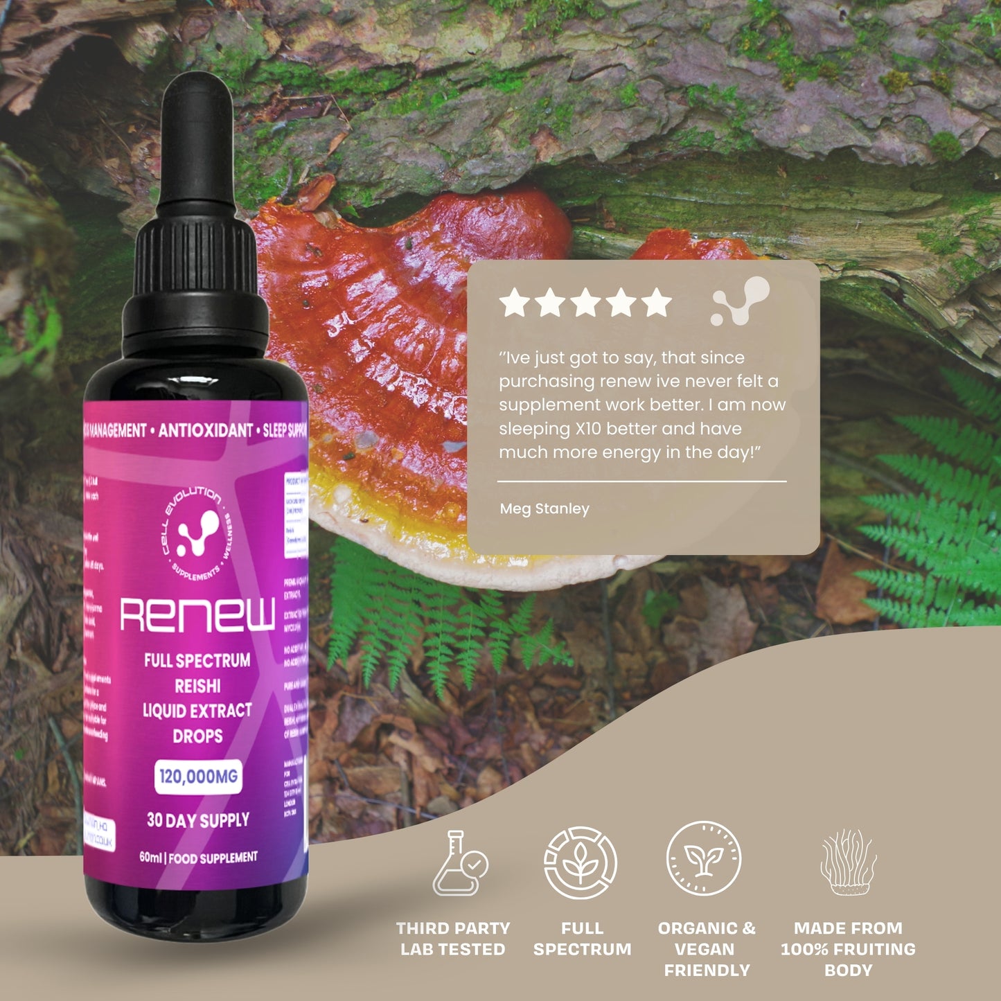 
                  
                    Renew - Reishi - Sleep - Cell Evolution HQ
                  
                
