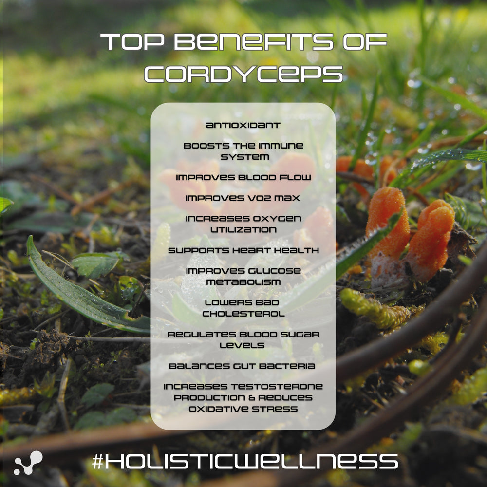 
                  
                    Boost - Cordyceps - Energy
                  
                