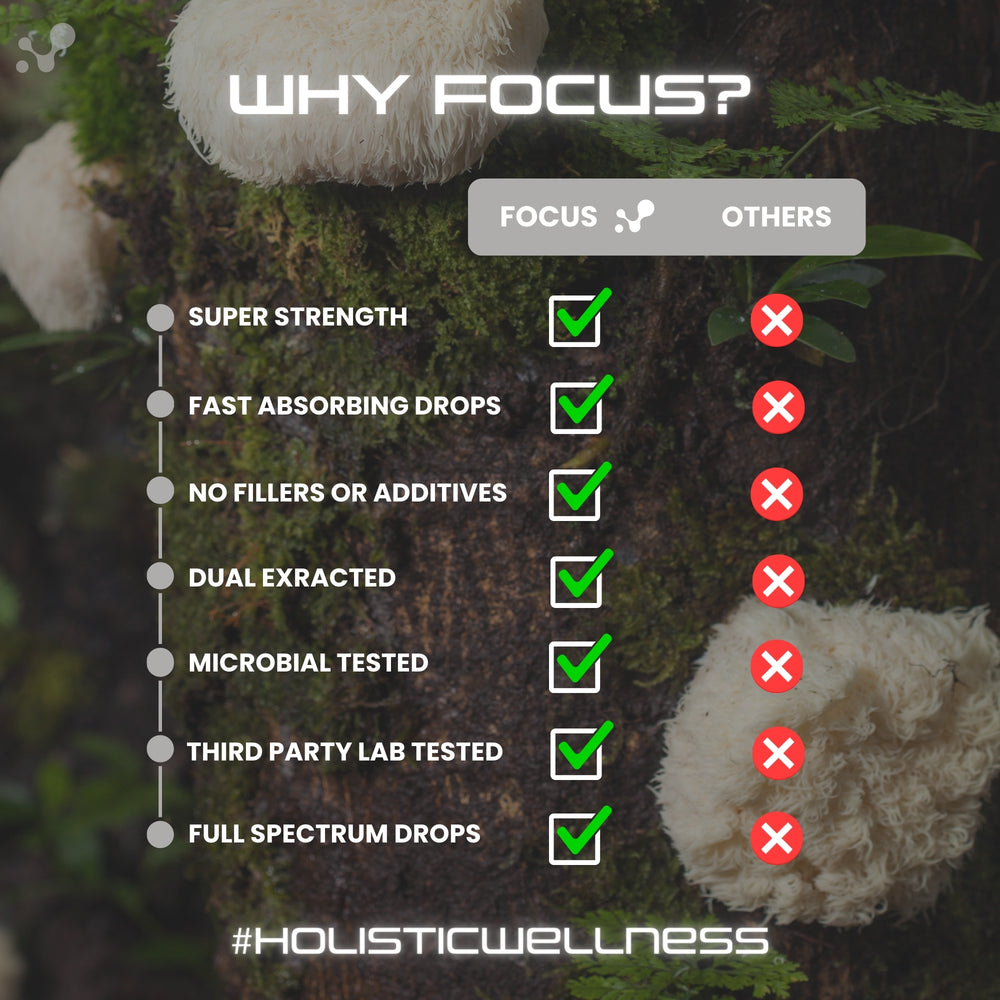 
                  
                    Focus - Lions Mane - Brain Function
                  
                