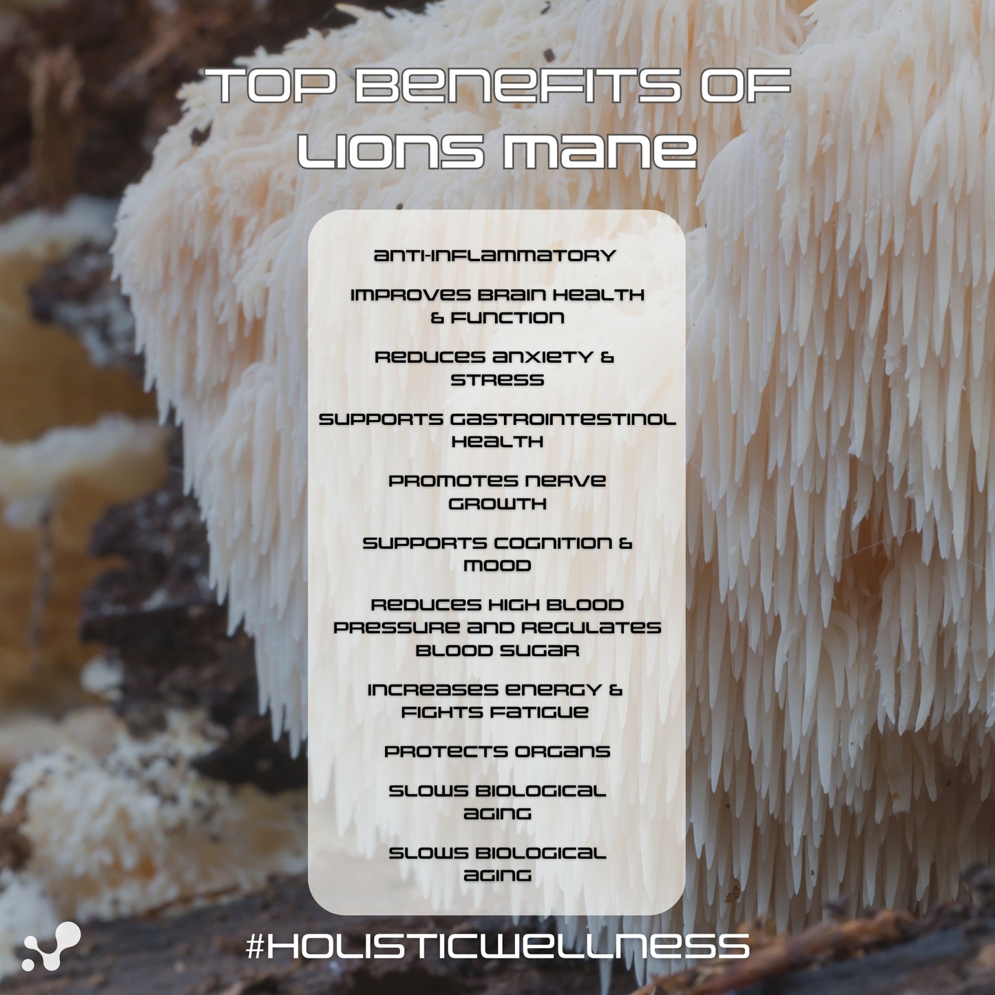 
                  
                    Focus - Lions Mane - Brain Function
                  
                